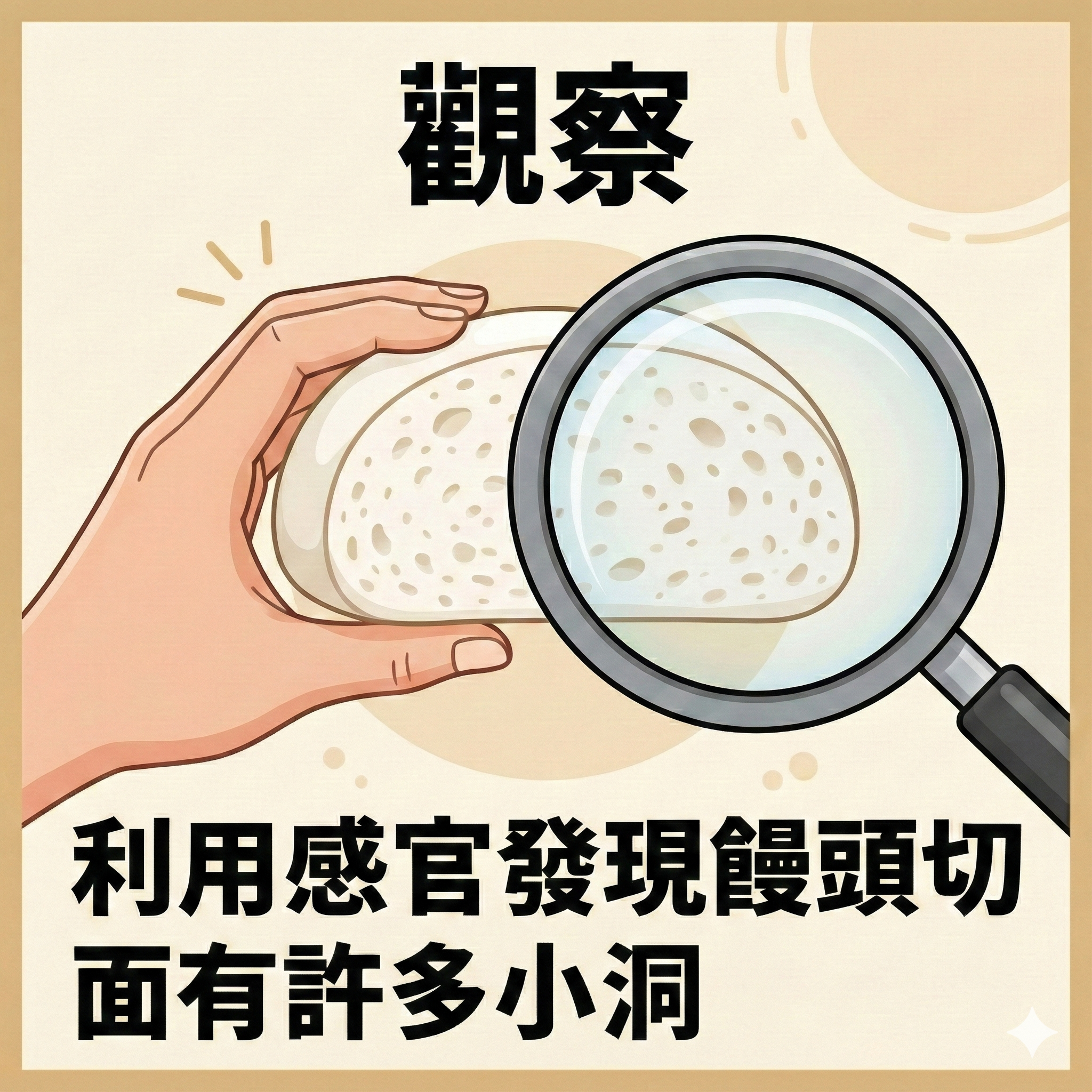 科學方法七步驟 (精簡放大版)