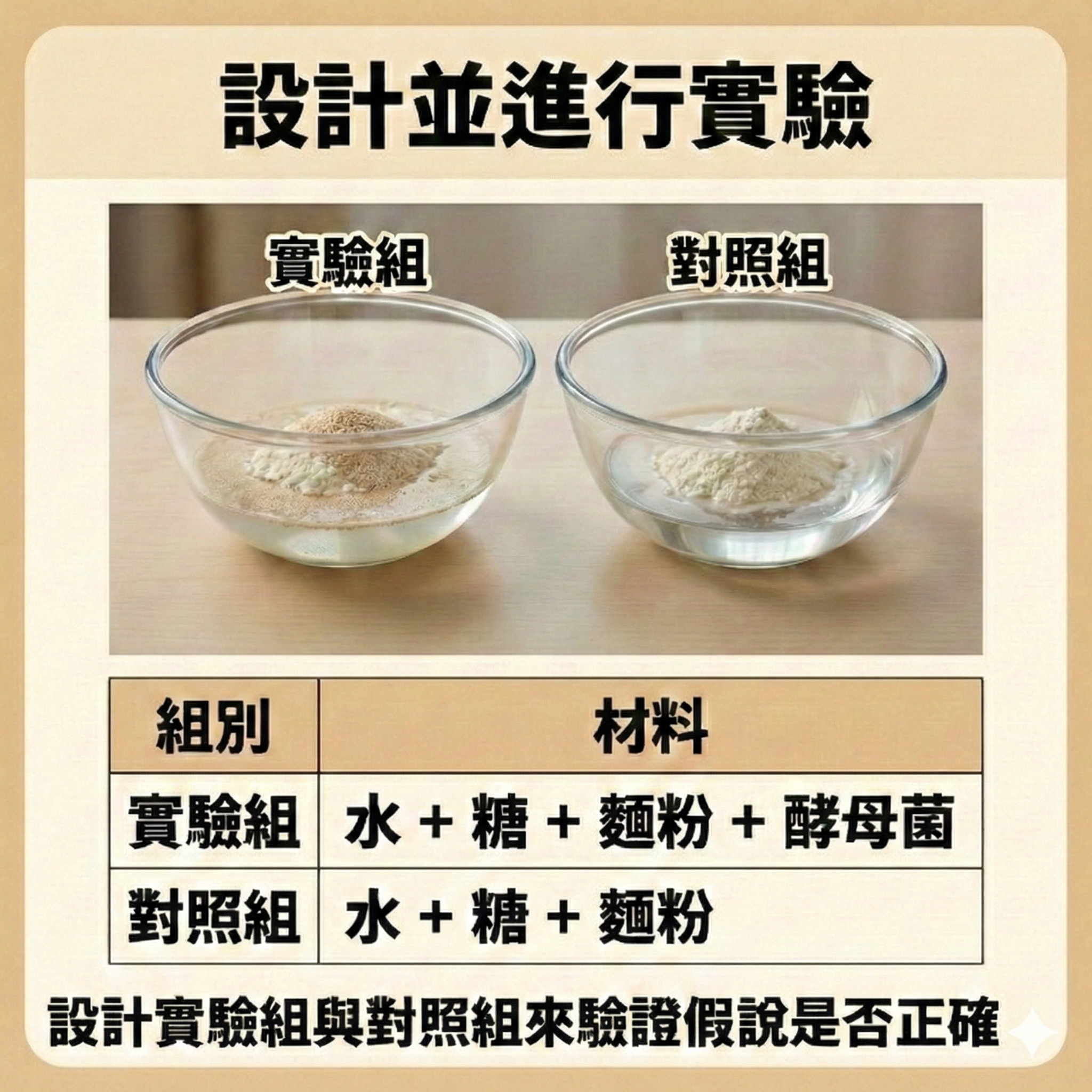 科學方法七步驟 (精簡放大版)